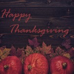 Happy Thanksgiving: Holiday Hours 