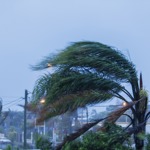 Importance of Hurricane Preparedness and Property Insurance